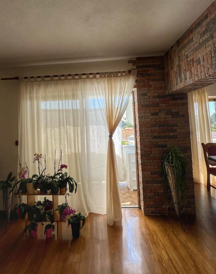 Apartmani Mia Palit Extérieur photo