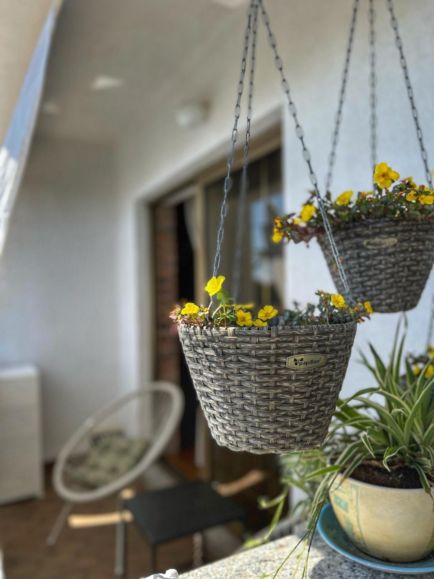 Apartmani Mia Palit Extérieur photo